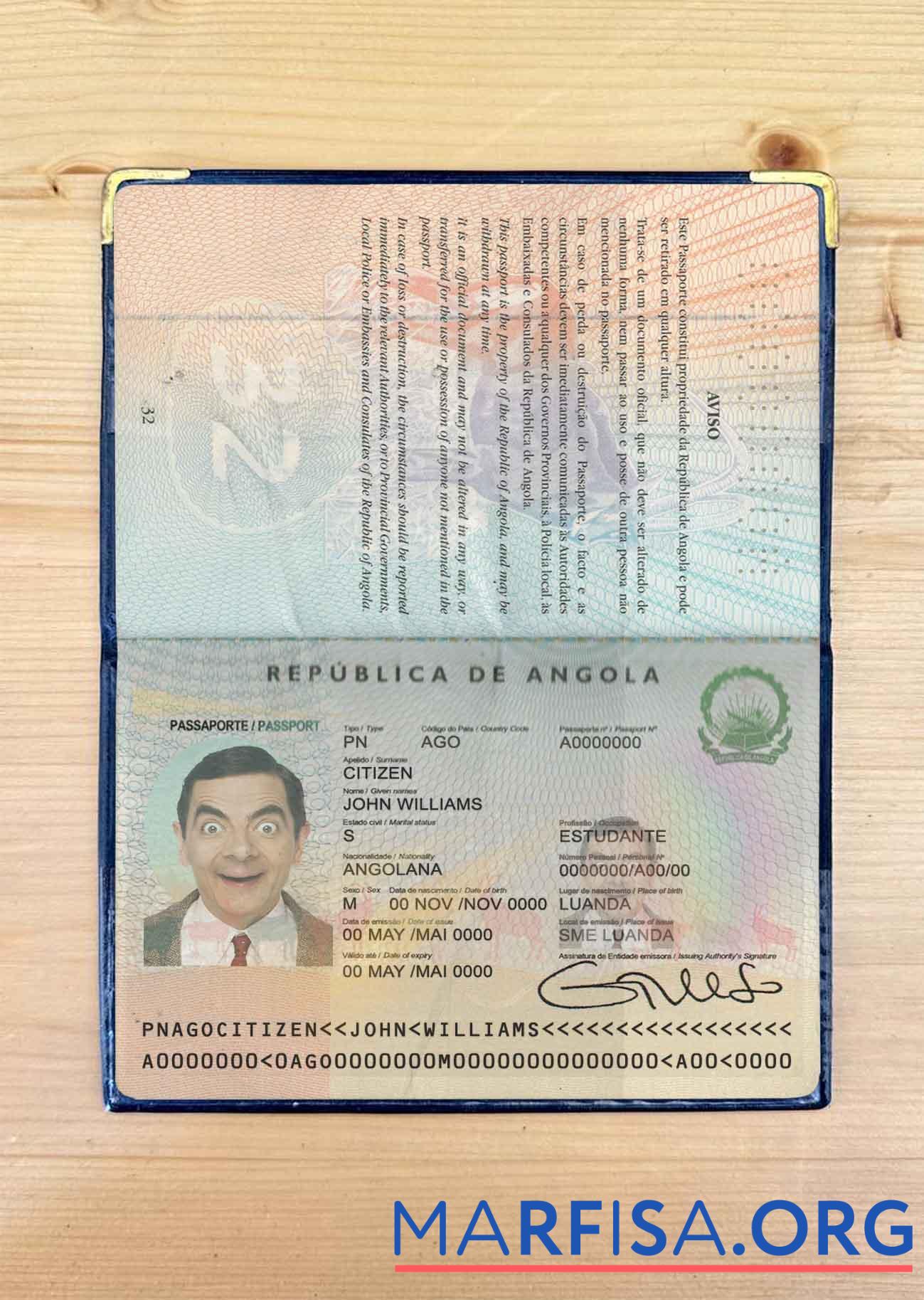 Realistic Angola passport photo look example